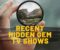 recent hidden gem tv shows